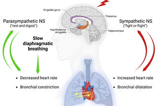 Why Breathwork Works — and 3 Techniques to Get Started