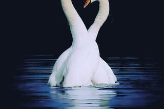 A man was born an emperor; a woman was born an empress