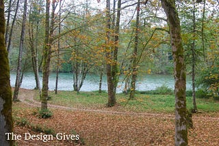 A dirt path parallels a river as it makes its way through the trees while browns and yellow leaves lay scattered across it.