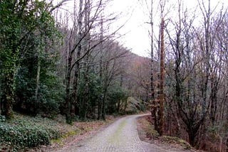 Best Things To Do And See in Serra do Açor, Portugal