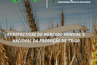 Perspectivas do mercado mundial e nacional da produção de trigo