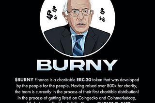 What is Burny Finance and Why Should You Care?