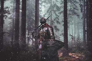 The Chronicles of the Silver Knight
