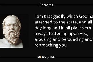 What is The Socratic Web?