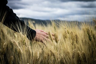 Bulgaria Recognises the Holodomor as Genocide. What Does That Mean?