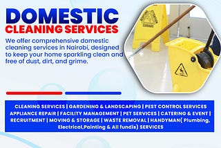 Domestic Cleaning Services in Nairobi