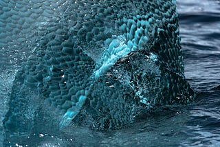 9 Days on Antarctica