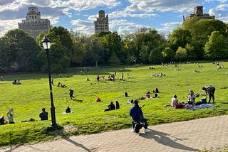 Brooklyn Moment: Losing My Phone In the Park