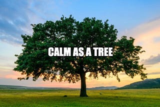 Calm as a tree