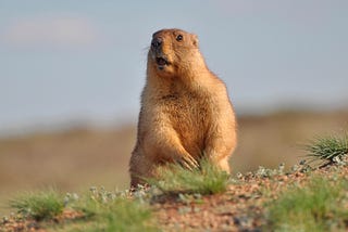 World Famous Groundhog Predicts Gathering Storm in Our Future