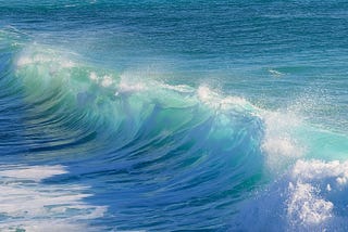 Ride the Wave — From Profit and Loss to Flow and Flourishing