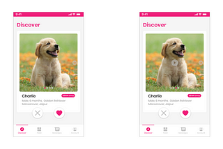 Dating App for Pets | Experience Design