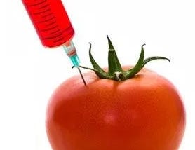 Food4Thought — Are GMO’s safe?