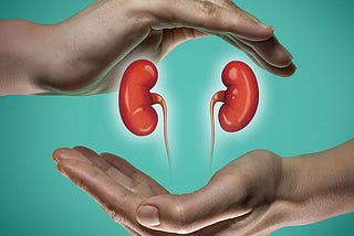 How to Promote Kidney Health