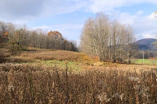 Possible Stone Prayers In A Hollow Near Camel’s Hump