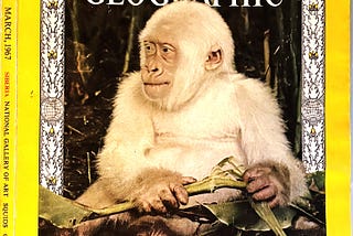 My Favorite Magazine Cover