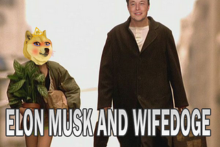 Wifedoge is so beautiful, Elon Musk loves WifeDoge as deeply as Doge.
