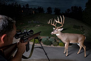 A Man Aims Through A Scope At A Deer In The Driveway