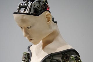 humanoid robot