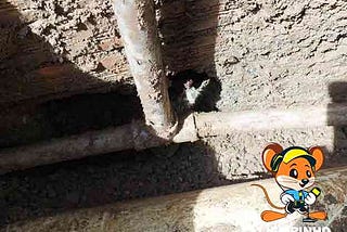 Caça Vazamento: Serviço de Detecção e Reparo na Zona Leste, Oeste, Norte e Sul de São Paulo…