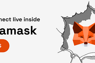 ZNS Connect on MetaMask SPANS: Full Guide + Installation Walkthrough 🦊