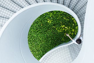 Image of a person looking over a lush, green wall covered in plants in the middle of a white, winding staircase. Futuristic representation of what harmonious, sustainable design could be.
