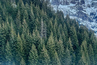 North American Indian Spirituality