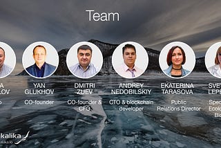 Team of the project Baikalika