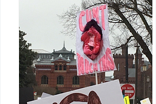 Meditation on the Women’s March