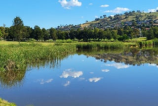 Canberra — A Walk Around Point Hut Pond in Summer
