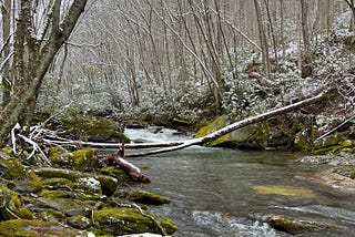 Don’t go to Smoky Mountains National Park in the Winter or Spring