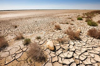 Desertification in Africa: 7 facts you should know
