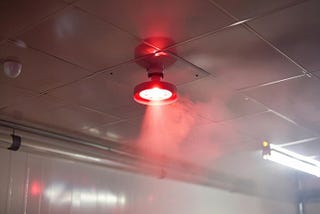 Fire Sprinkler Systems: An Essential Investment in Fire Safety