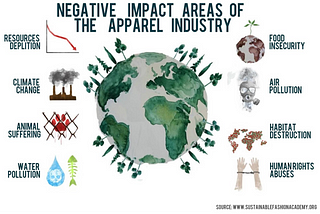 The environmental impact of clothing part 2