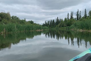 Floating through the Wild Boreal Forest