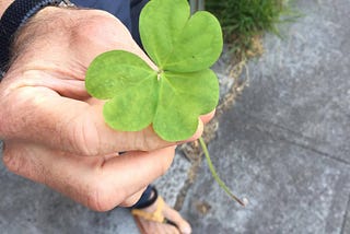 A Foraging Walk in Berkeley