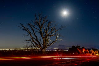 taillights of a car streak past a leafless tree in the moonlight