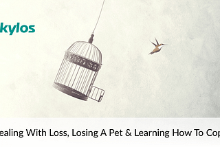 Dealing With Loss, Losing A Pet & Learning How To Cope.