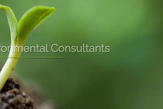 4 Best Tips No One Knew Till Now to Find the Top Environmental Consultancy