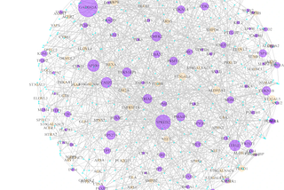 From Static Relations to Dynamic Co-Activation: Hypergraphs as Event Models (3/3)