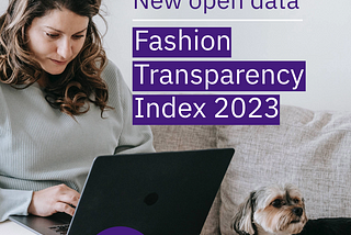 Fashion Transparency Index 2023 on Wikirate