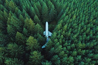 Um avião no meio de uma floresta, perdido.