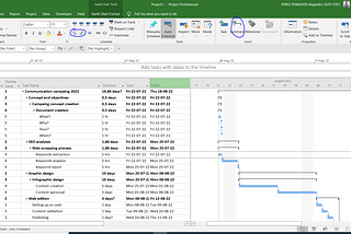 Let’s talk about how to do Project Management with Microsoft Project