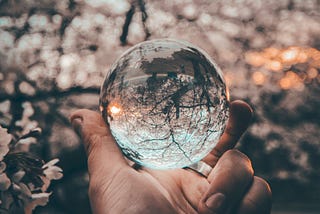 A hand holding a glass ball that reflects the trees and sky above.