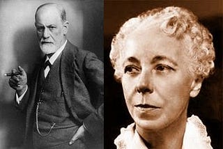 “A Comparative Analysis of Freud and Horney’s Theories”