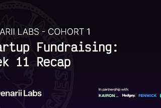 Denarii Labs Cohort 1 — Fundraising: Week 11 Recap