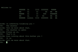 the screen of a computer, showing a very old chatbot