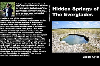 Hidden Springs Of The Everglades, My New Book