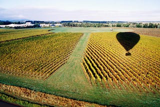 Australian Grape Fields