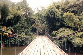 Wooden bridge over river with thick forests around.